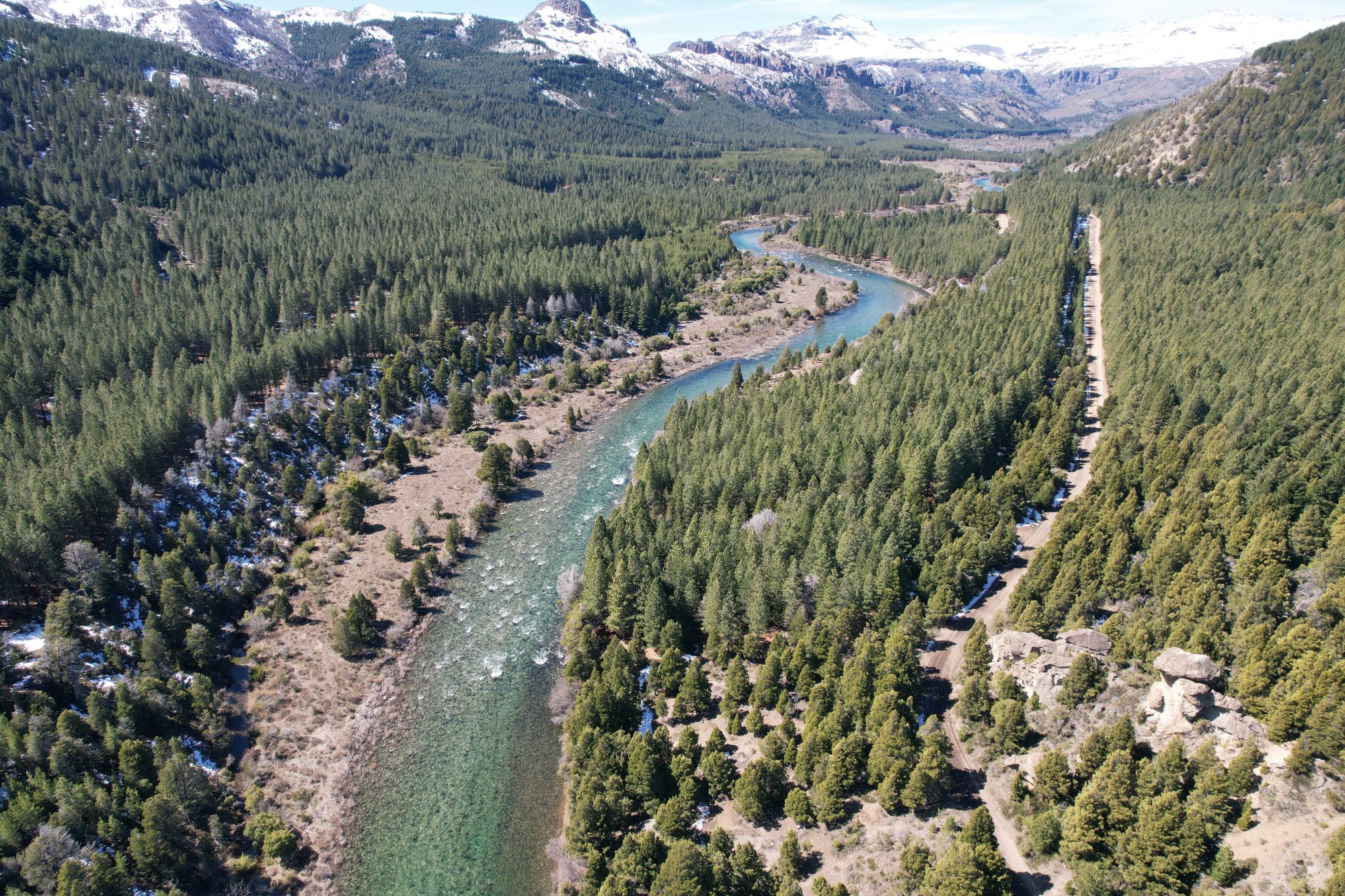 Río Caleufú serpenteando entre el bosque patagónico